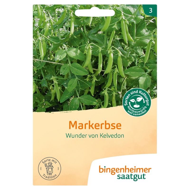 Bingenheimer Saatgut Wunder von Kelvedon - Markerbse (Saatgut) - Produktbild