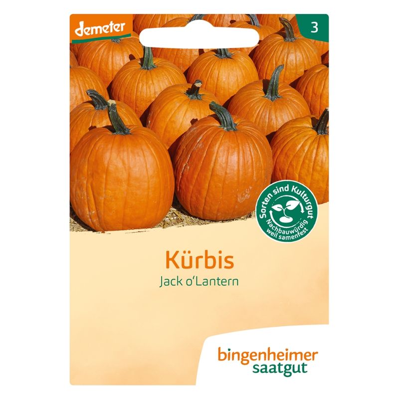 Bingenheimer Saatgut Jack o'Lantern - Kürbis (Saatgut) - Produktbild