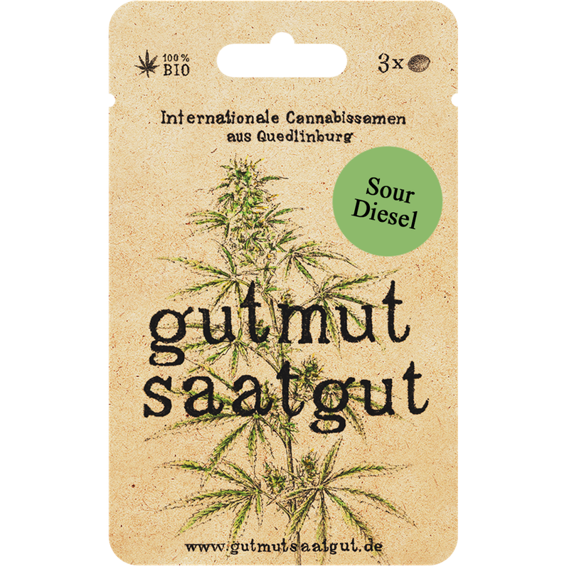 gutmut saatgut Cannabissamen (3Stk) - Sour Diesel: Sour Diesel ist eine legendäre Sativa-Sorte, bekannt für ihre kräftigen, energetisierenden Effekte und intensiven Diesel-Aromen. Ideal für kreative Köpfe und produktive Tage. - Produktbild