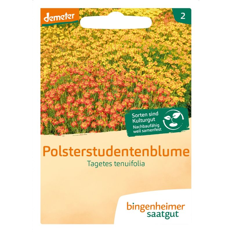 Bingenheimer Saatgut Polsterstudentenblume Farbmischung - Blumen (Saatgut) - Produktbild