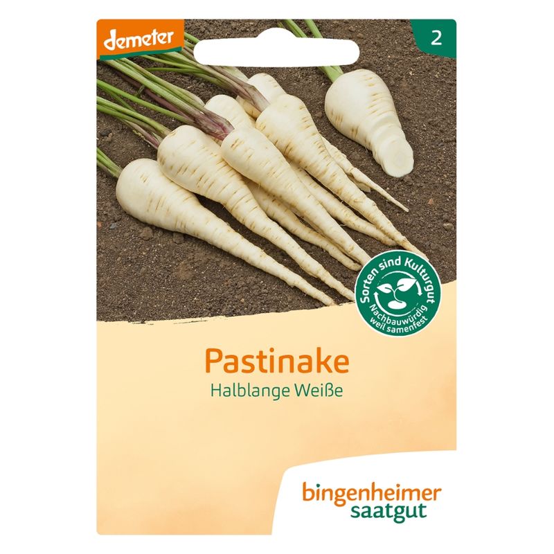 Bingenheimer Saatgut Halblange Weiße - Pastinake (Saatgut) - Produktbild