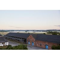 Bio-Griebenschmalz - Produktbild