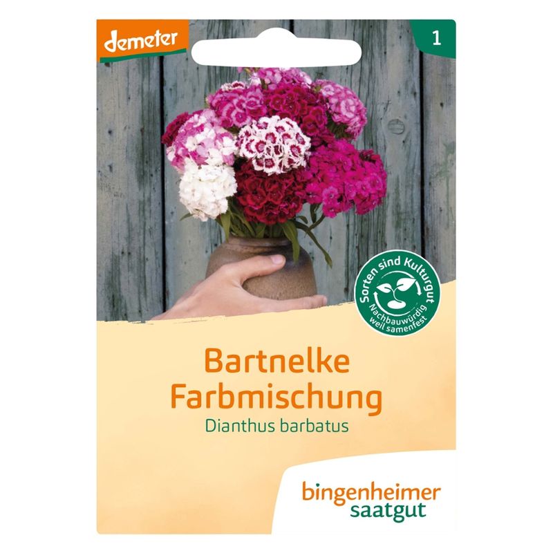 Bingenheimer Saatgut Bartnelke, Farbmischung (Saatgut) - Produktbild