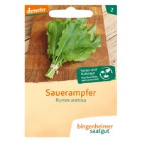 Kultursauerampfer - Produktbild
