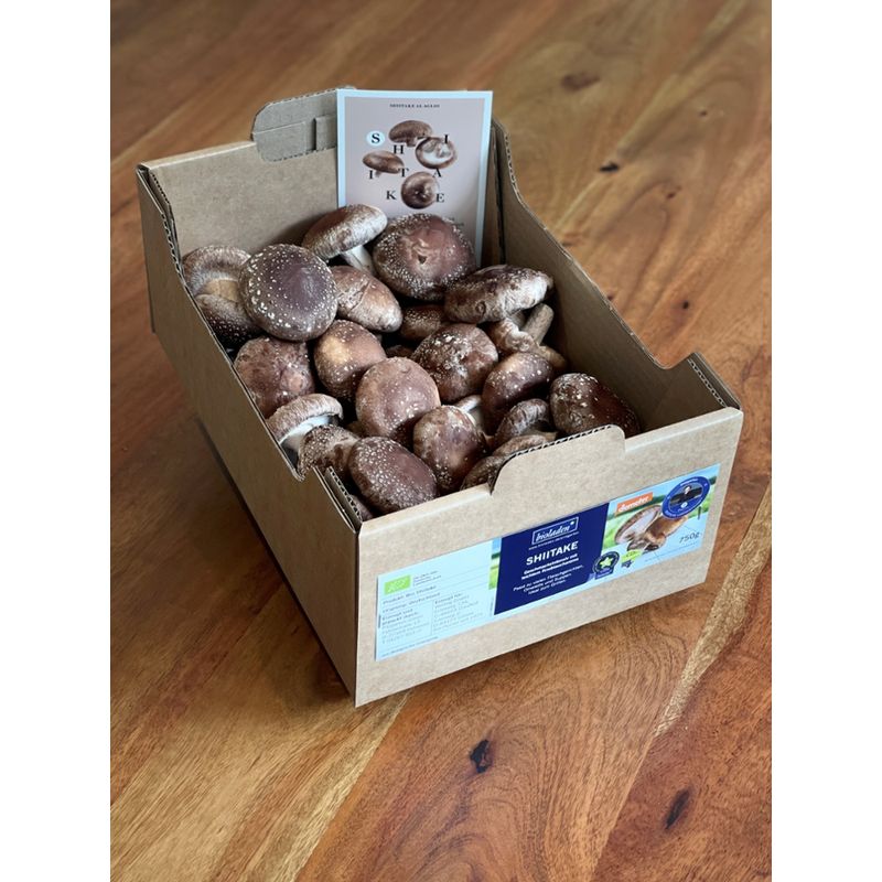 Pilzgarten Demeter-Shiitake (0,75 kg) - Produktbild