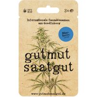 Cannabissamen (3Stk) - Blueberry (Auto) - Produktbild