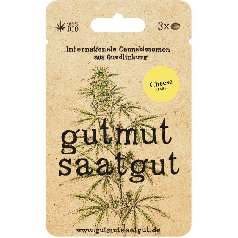 gutmut saatgut Cannabissamen (3Stk) - Cheese (Fast): Cheese (Fast) liefert dir in nur 7 Wochen den unverwechselbaren Käse-Skunk-Duft, hohe Erträge und eine ausgewogene Wirkung. - Produktbild
