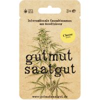 Cannabissamen (3Stk) - Cheese (Fast) - Produktbild