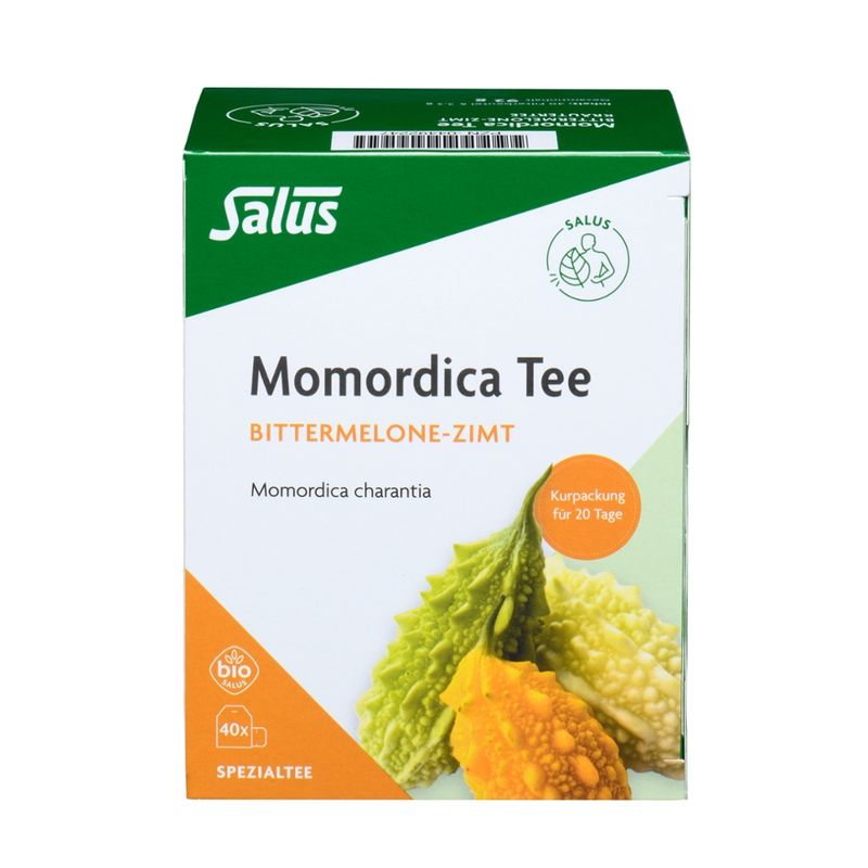 Salus® Momordica mit Zimt Tee bio 40 FB - Produktbild