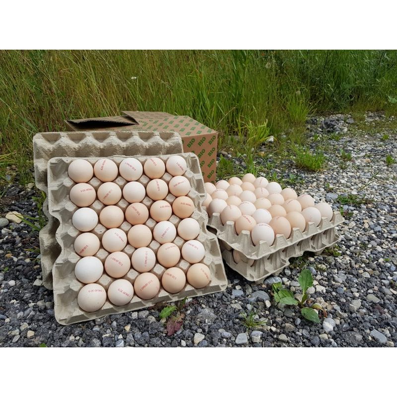 Biovum / Eggerhof Bio-Eier (Bioland), 90er Kl. L, Kl. M / 3x30 Eier = 90 Stk/Karton - Produktbild