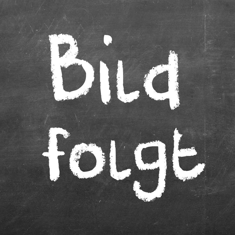 Die Bio-Wurst Bio Metzgerfrikadellen gebraten 10x150g - Produktbild