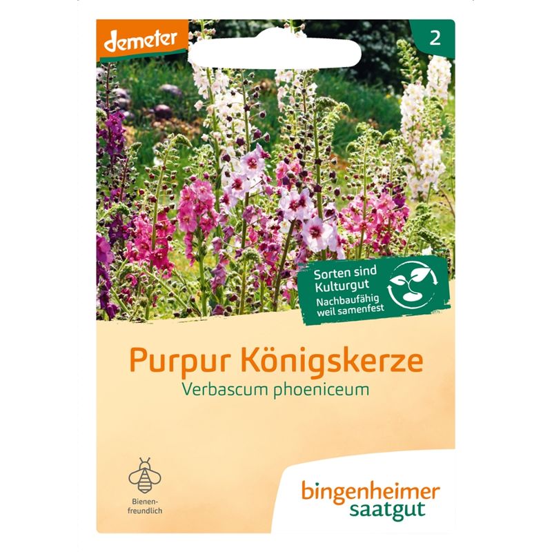 Bingenheimer Saatgut Purpur Königskerze - Blumen (Saatgut) - Produktbild