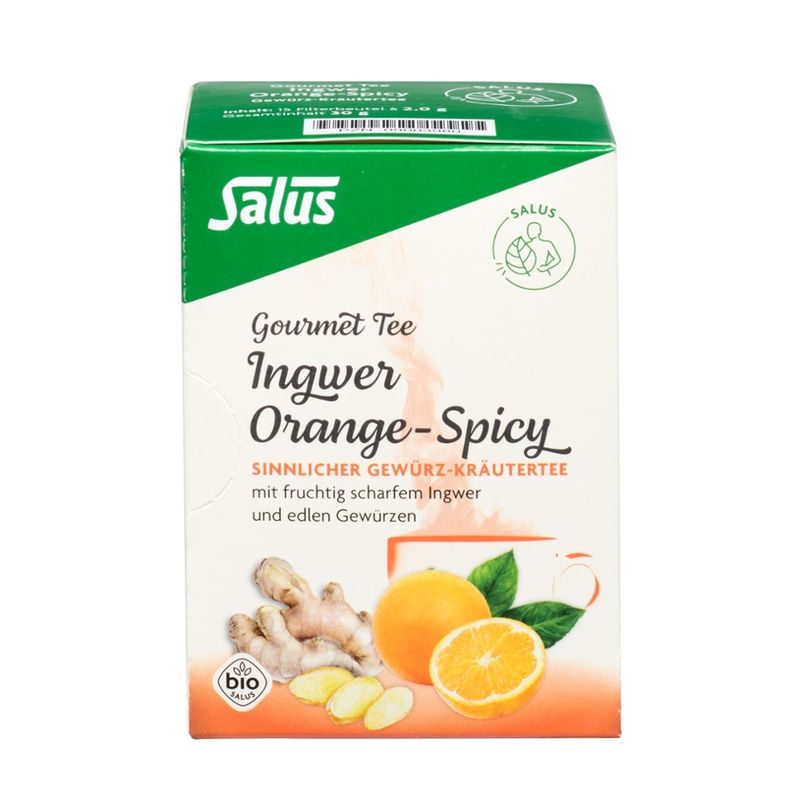 Salus® Salus® Gourmet Orange-Spicy Ingwer Tee bio 15 FB - Produktbild