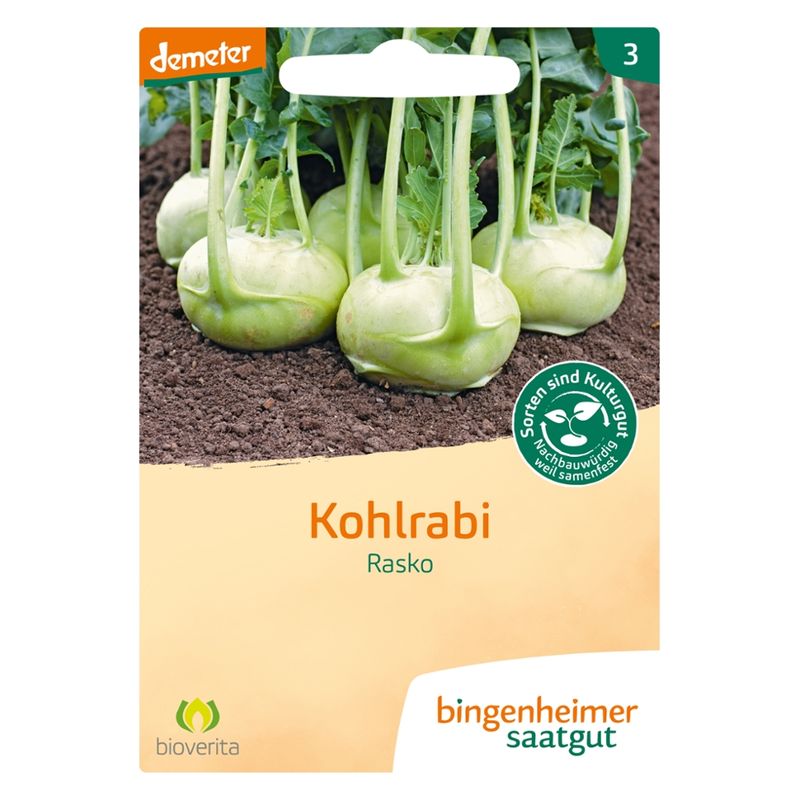 Bingenheimer Saatgut Rasko - Kohlrabi (Saatgut) - Produktbild