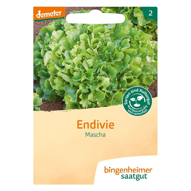 Bingenheimer Saatgut Mascha - Endivie (Saatgut) - Produktbild