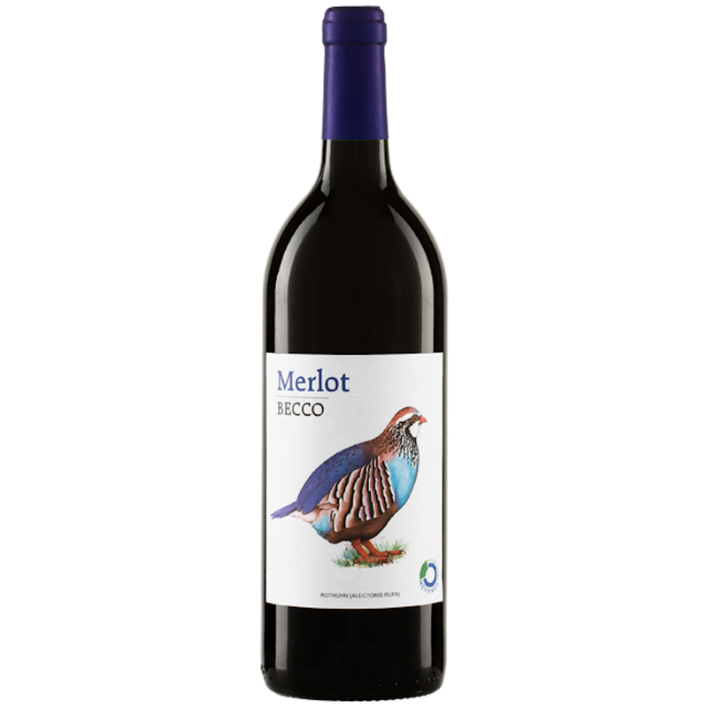 Riegel Eigenmarke BECCO Merlot 1l Mehrweg - Produktbild