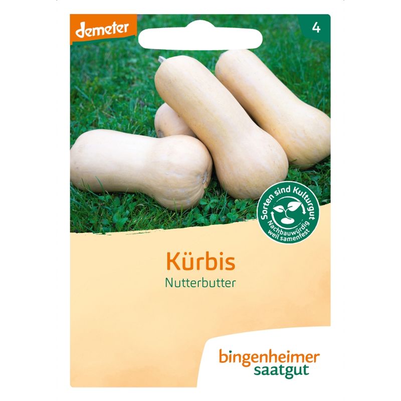 Bingenheimer Saatgut Nutterbutter - Kürbis (Saatgut) - Produktbild