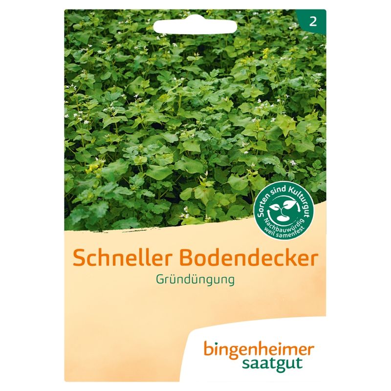 Bingenheimer Saatgut Schneller Bodendecker - Gründüngung (Saatgut) - Produktbild