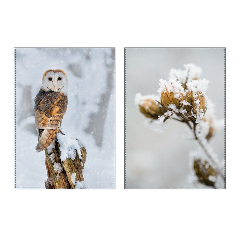 LIVING CRAFTS Küchenhandtuch 1400, 2er Pack, owl/frozen plant, 50X70 cm - Produktbild