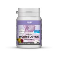N° 41 Original Bachblüten Kaugummi Focus - Produktbild