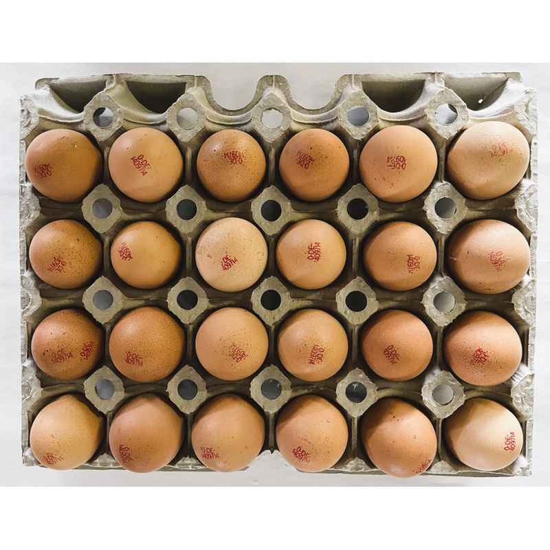 Erzeugergemeinschaft Agrarprodukte Wildenhain Bio-Eier-Bruderhahn lose, Gr. M/L, Güteklasse A - Produktbild