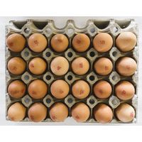 Bio-Eier-Bruderhahn lose, Gr. M/L, Güteklasse A - Produktbild