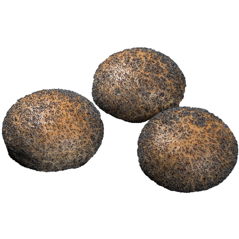 BAHDE Biobrote Mohnbrötchen 5er demeter - Produktbild