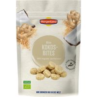 Bio Kokos Bites Ingwer - Produktbild