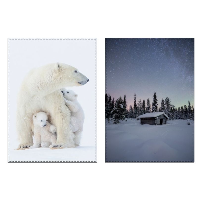 LIVING CRAFTS Küchenhandtuch 1400, 2er Pack, polar bear/snow cabin, 50X70 cm - Produktbild