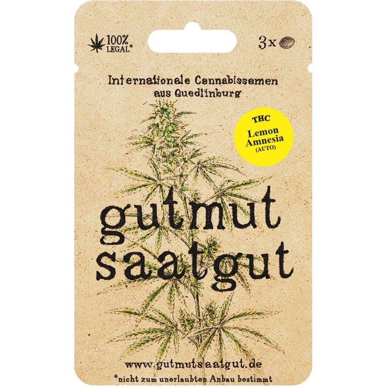 gutmut saatgut Cannabissamen (3Stk) - Lemon Amnesia (Auto): Lemon Amnesia (Auto) bringt dir in 10-11 Wochen hohe Erträge und kombiniert intensive Zitrusnoten mit klassischem Haze-Twist. - Produktbild