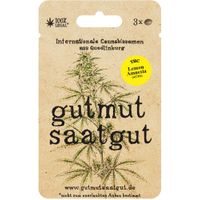 Cannabissamen (3Stk) - Lemon Amnesia (Auto) - Produktbild