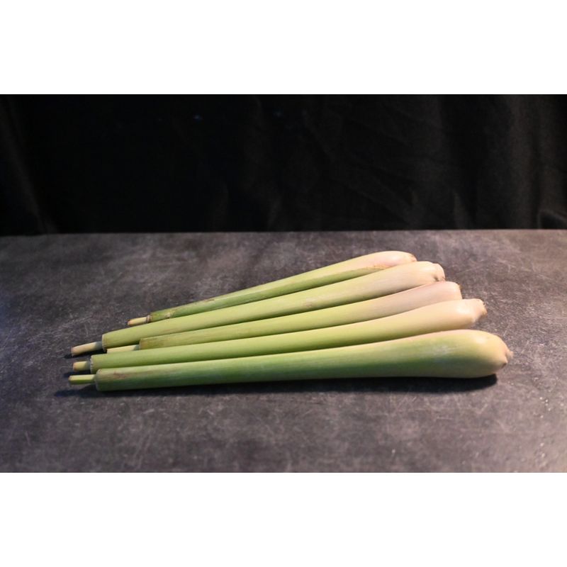 Kipepeo Zitronengras frisch Uganda - Produktbild