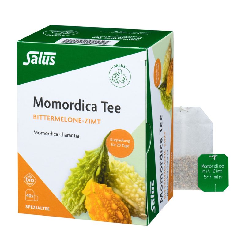 Salus® Momordica mit Zimt Tee bio 40 FB - Produktbild