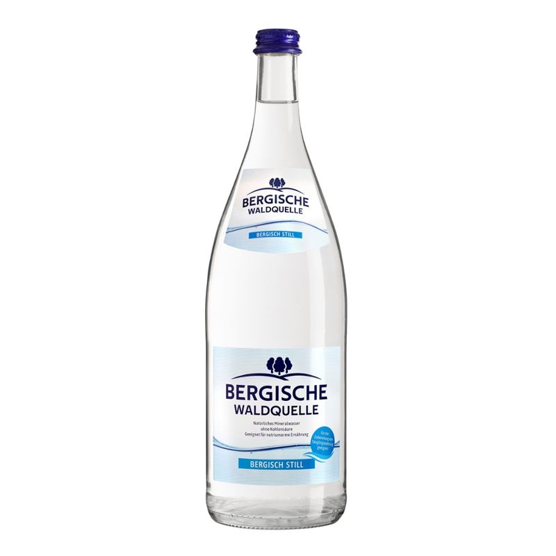 Bergische Waldquelle Bergische Waldquelle Natur Glas 1,0L ohne Kohlensäure - Produktbild