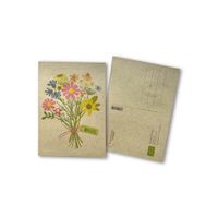 Saatgut-Grußkarte  - Produktbild