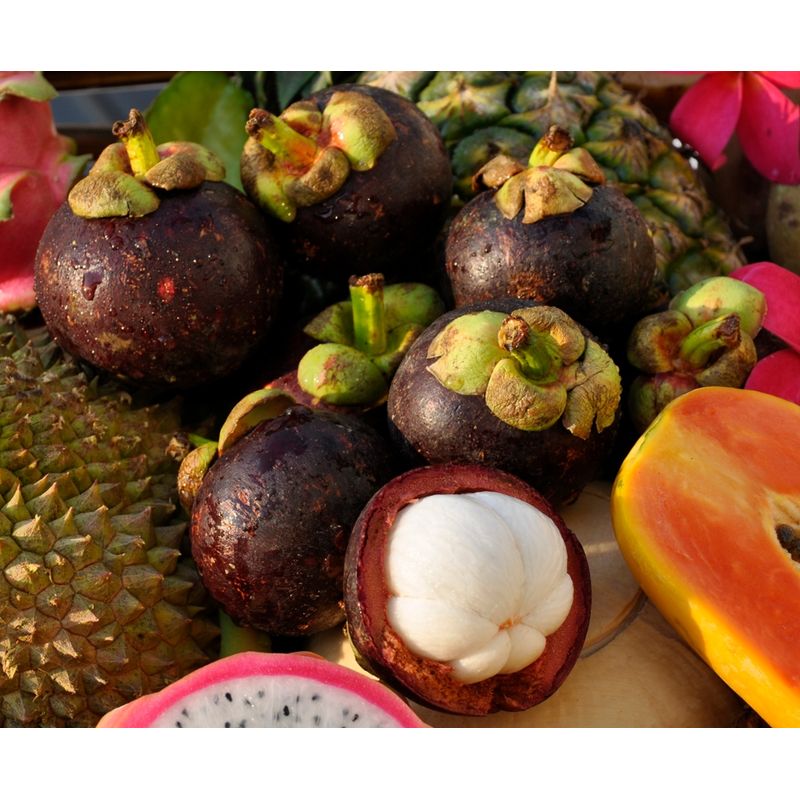 Kipepeo Mangostan frisch Thailand - Produktbild