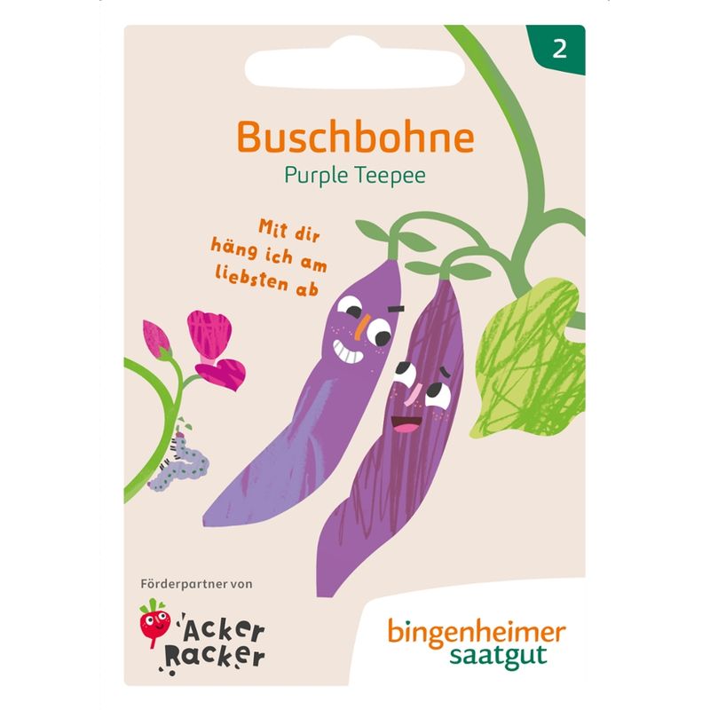 Bingenheimer Saatgut AckerRacker: Purple Teepe - Buschbohne (Saatgut) - Produktbild