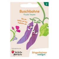 Buschbohne AckerRacker: Purple Teepe - Produktbild
