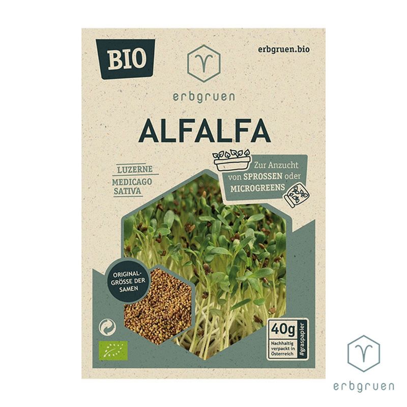 erbgruen Alfalfa - BIO Microgreens/Sprossen Samen, 40g - Produktbild