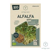 Alfalfa - BIO Microgreens/Sprossen Samen - Produktbild