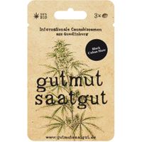 Cannabissamen (3Stk) - Black Cuban Haze - Produktbild