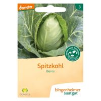 Spitzkohl Berns - Produktbild