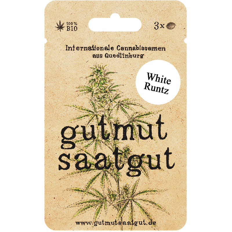 gutmut saatgut Cannabissamen (3Stk) - White Runtz: White Runtz ist eine ausgewogene Hybridsorte, die mit fruchtigen Aromen und einer Mischung aus Euphorie und Entspannung begeistert. Perfekt für entspannte, gesellige Abende. - Produktbild