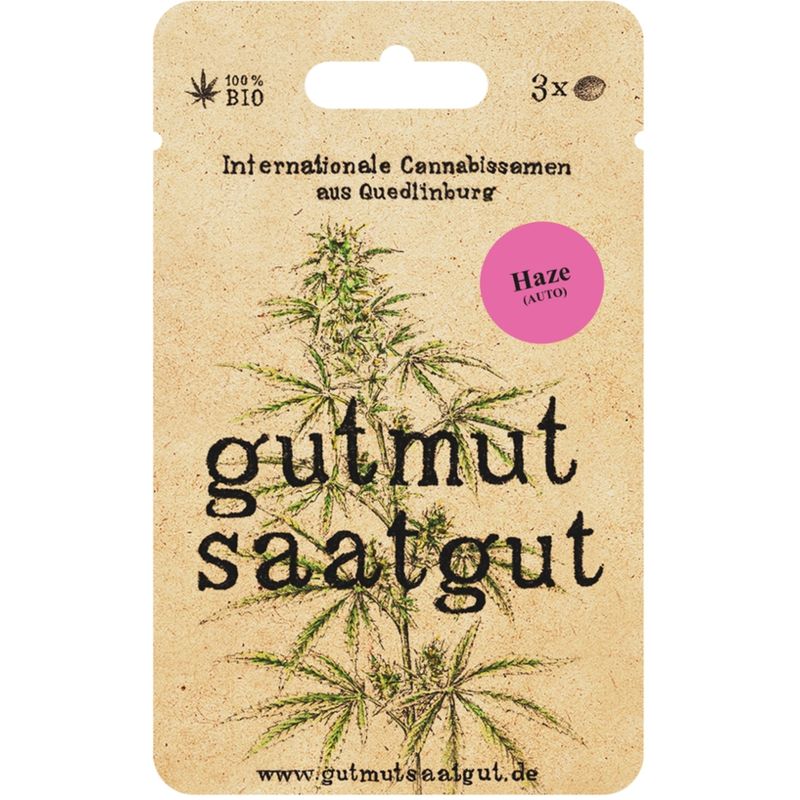 gutmut saatgut Cannabissamen (3Stk) - Haze (Auto): Haze (Auto) bringt dir nach 10-12 Wochen die legendären, würzig-zitrusartigen Haze-Aromen und energetische, euphorische Momente. - Produktbild