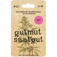 Cannabissamen (3Stk) - Haze (Auto) - Produktbild