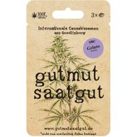 Cannabissamen (3Stk) - Gelato (Fast) - Produktbild