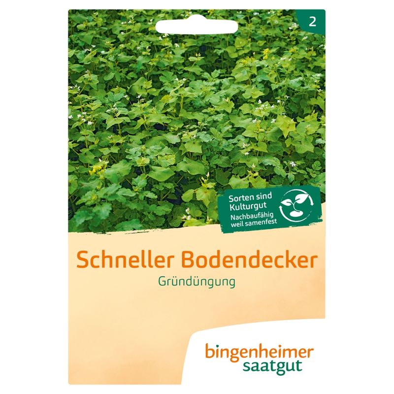 Bingenheimer Saatgut Schneller Bodendecker - Gründüngung (Saatgut) - Produktbild