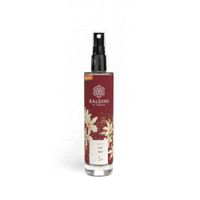 Badini Winter Moments Raumspray - Produktbild