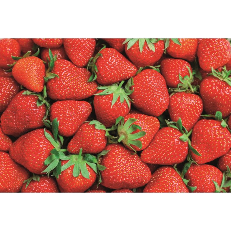 Ökofrost GV Erdbeeren, 22-26 mm, EU-Bio, 10 kg Karton - Produktbild