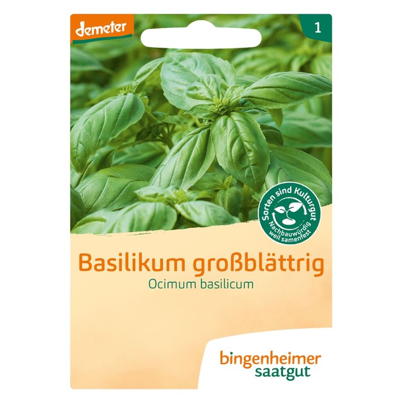 Bingenheimer Saatgut Basilikum großblättrig - Kräuter (Saatgut) - Produktbild